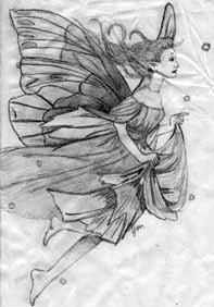 Pencil Drawing - Fairy