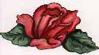 Watercolors - Rose